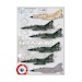 Mirage 2000 Standard - Grey green Mirages 48-923