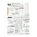 Mirage 2000 Standard - Grey green Mirages 48-923