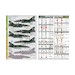 Mirage 2000 Standard - Grey green Mirages 48-923