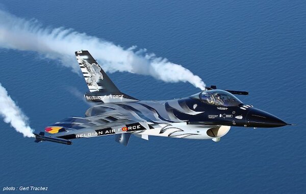 F16AM Fighting Falcon (FA-110 "Solo Display 2018 - Dark Falcon" Belgian Air Force) 72-110