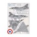 Mirage 2000-5F n°70 2-FD in "Low viz" EC 2/2 "Côte d'Or" 72-157