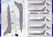 Rafale B/C/M Standard markings and stencils   (REVISED)  72-915V-2