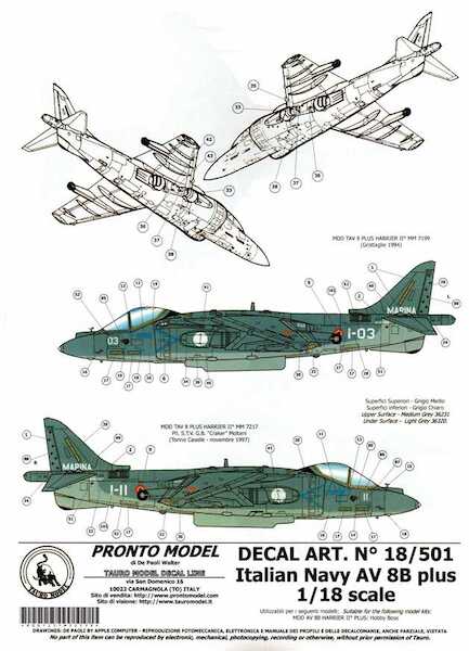 AV8B Harrier II plus (Italian Navy) TM18-501