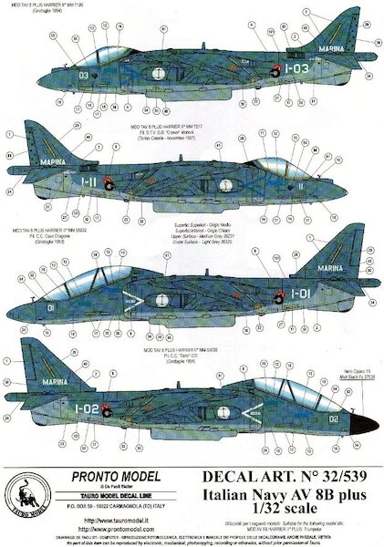 AV8B Harrier II plus (Italian Navy) TM32-539