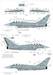 Eurofighter EF2000 Italian version  48-582
