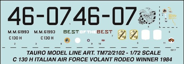C130H Hercules (Italian Air Force Volant rodeo 1984 winner) 72-2102
