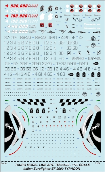 Eurofighter Typhoon EF2000 Italian Version TM72-579
