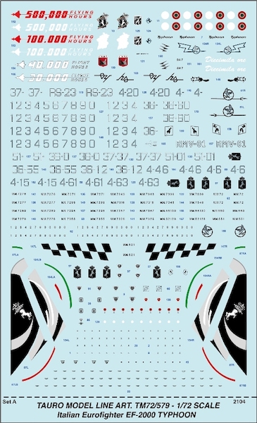 Eurofighter Typhoon EF2000 Italian Version  TM72-579