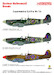 Supermarine Spitfire MKVb (317sq, 302sq, 145sq) TE 24001