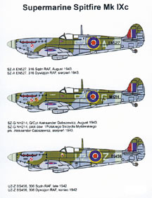 Supermarine Spitfire MKIXc (316sq, 306sq RAF)  48034