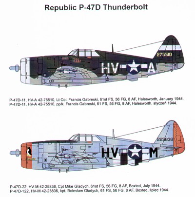 Republic P47D Thunderbolt  48048