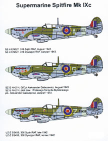 Supermarine Spitfire MKIX (316sq, 306sq)  72010