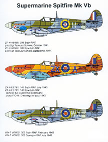 Supermarine Spitfire MKVb (308sq, 145sq, 302sq) 72016