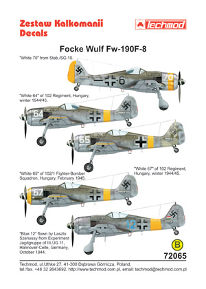 Focke Wulf FW190F-8 (Luftwaffe)  72065