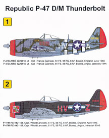 Republic P47D/M Thunderbolt  72103