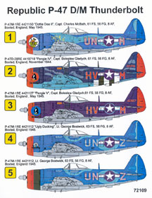 Republic P47D/M Thunderbolt  72109