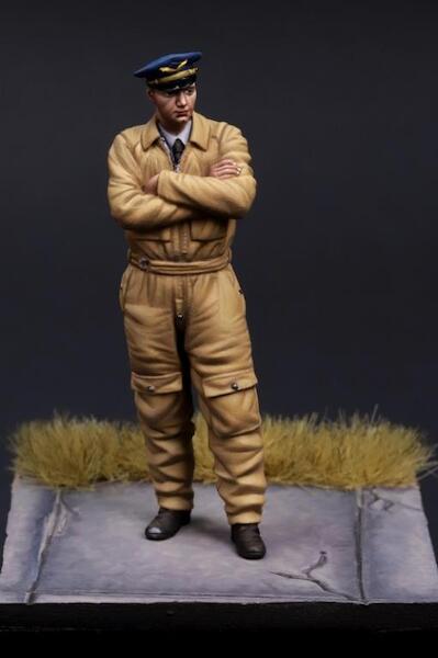 French Pilot WWII #2  TBM54006