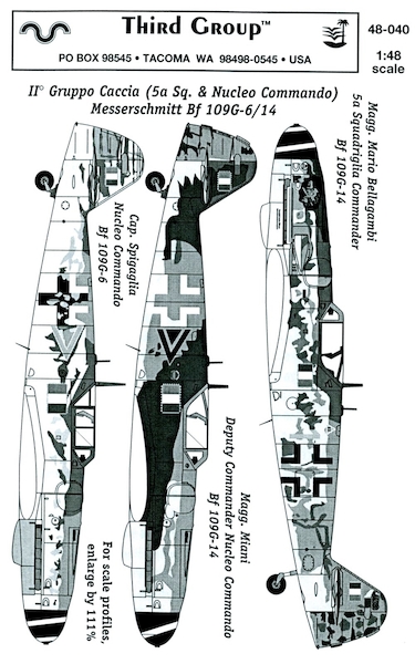Messerschmitt BF109G-6/14 (II Gruppo Caccia RSI) TG48040