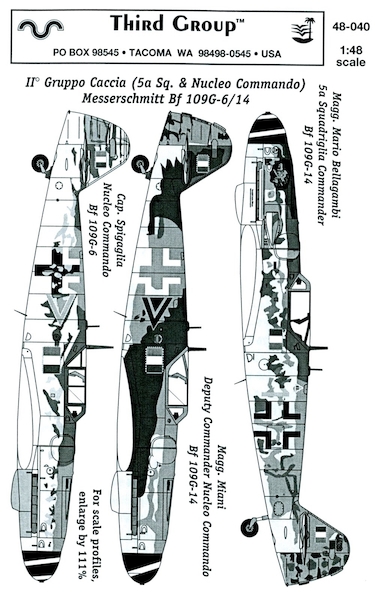 Messerschmitt BF109G-6/14 (II Gruppo Caccia RSI)  TG48040