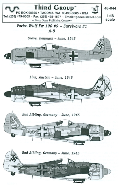 Focke Wulf FW190A8 (Survivors)  TG48044