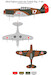 Allied fighters under Turkish Flag: P40  48001