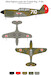 Allied fighters under Turkish Flag: P40  48001