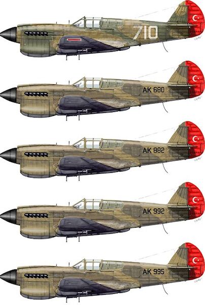 P40E Kittyhawk in Turkish Air Force Service  72027