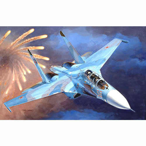 Russian Suchoi Su27UB Flanker C 01645
