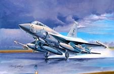 FC1 Fierce Dragon (JF17 Thunder)  01657