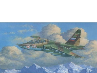 Suchoi Su25UB Frogfoot B 02277