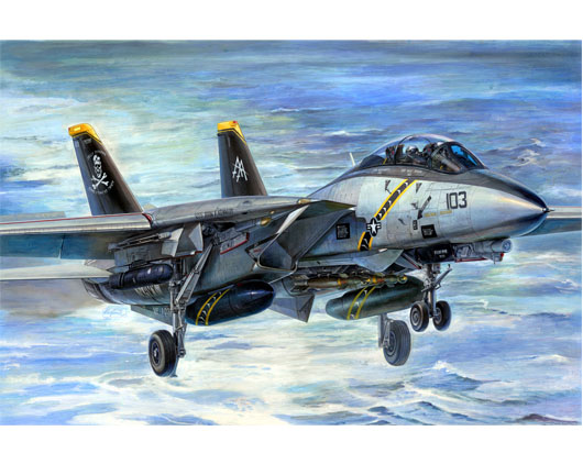 Grumman F14B Tomcat Bombcat  03202