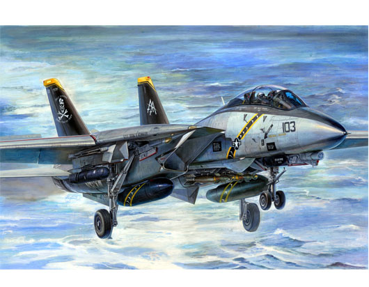 Grumman F14B Tomcat Bombcat 03202
