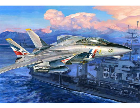 Grumman F14D Super Tomcat 03203
