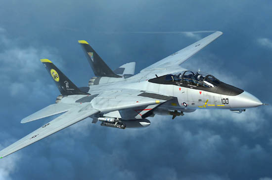 F14D Tomcat 03919
