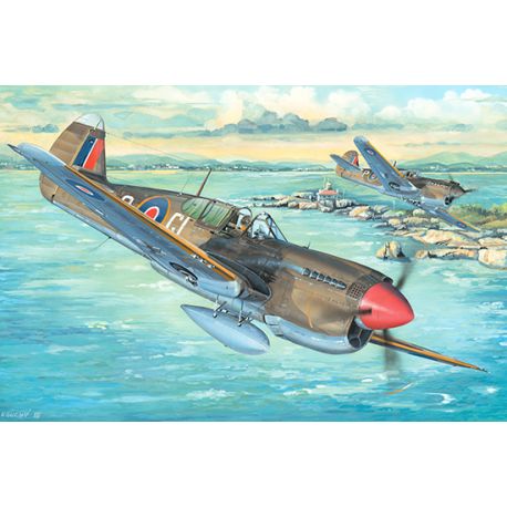 Curtiss P40M Warhawk TR02211