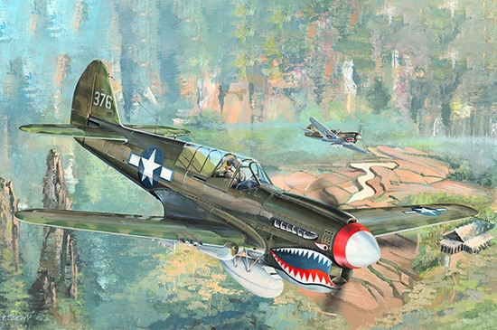 Curtiss P40N Warhawk  TR02212