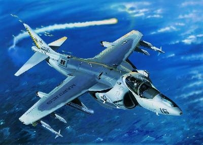 AV8B Night Attack Harrier II TR02285