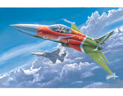 FC1 Fierce Dragon TR02815