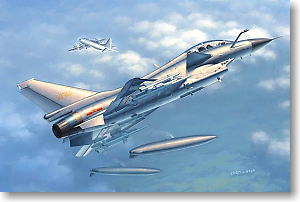 J10S Vigorous Dragon two seat fighter (PLAAF) TR02842