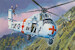 Sikorsky CH34J Chocktaw US Army Rescue tr02883