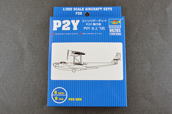 Consolidated P2Y (6x) TR06285