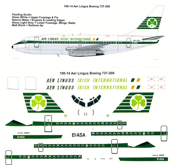 Boeing 737-200 (Aer Lingus)  100-14