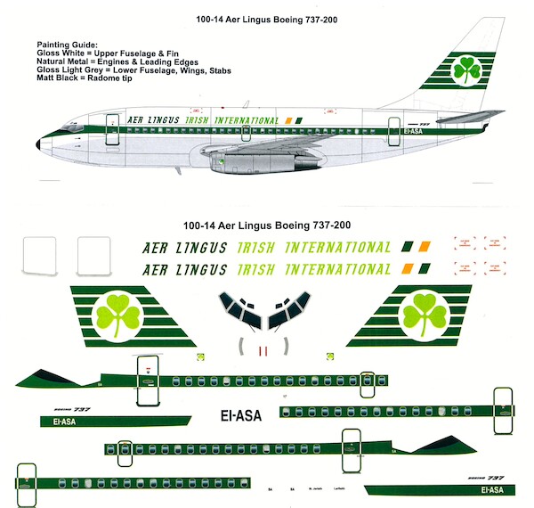 Boeing 737-200 (Aer Lingus) 100-14