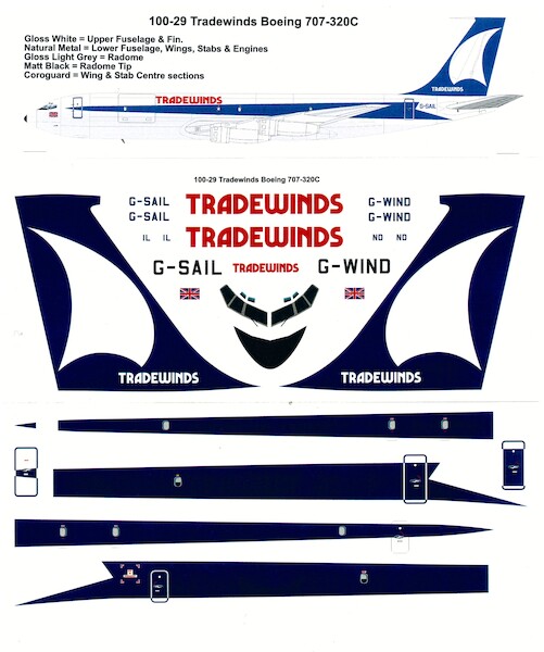 Boeing 707-200 (Tradewinds)  100-29