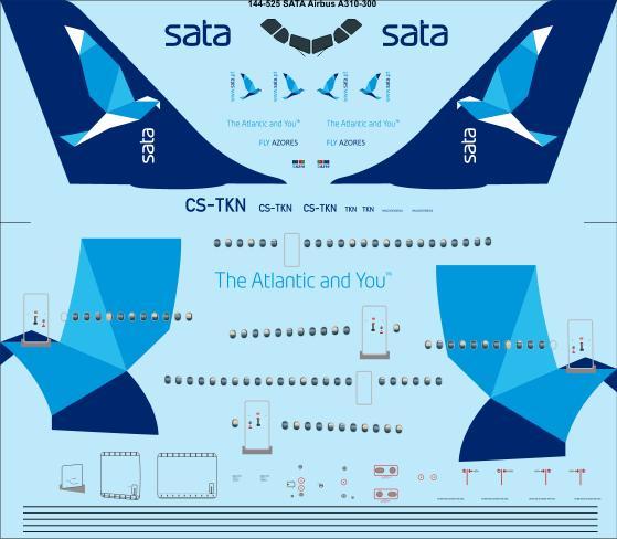 Airbus A310-300 (SATA) 144-525