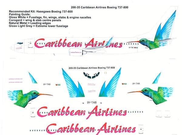 Boeing 737-800 (Carribean Airlines) 200-35