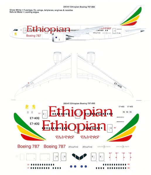 Boeing 787-8 Dreamliner (Ethiopian) 200-61