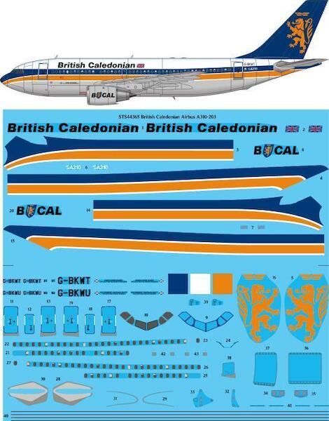 Airbus A310-200 (British Caledonian) sts44365