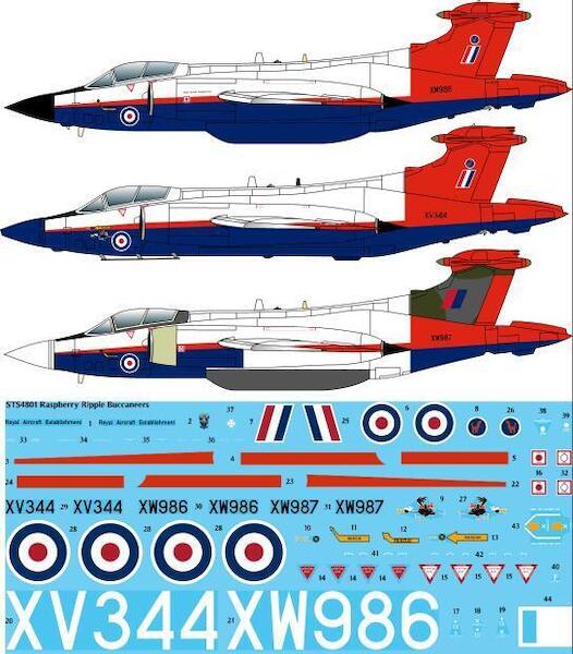 Rasperry Ripple Buccaneers  sts4801