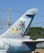 100 Years Royal Thai AF markings  YOX-DM001
